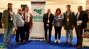anbima messina