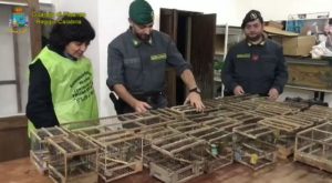 bracconiere reggio calabria