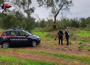 controlli carabinieri reggio calabria (1)