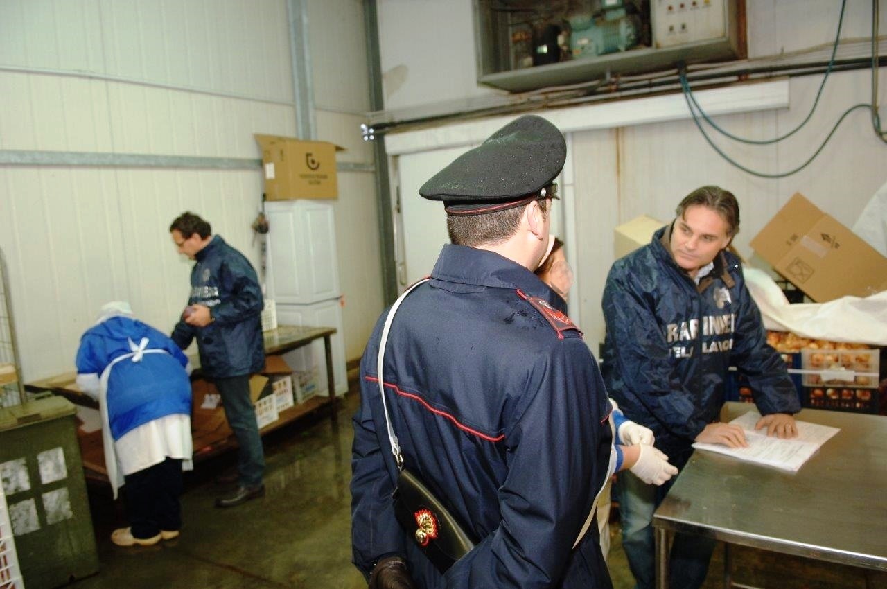 lavoro controlli carabinieri