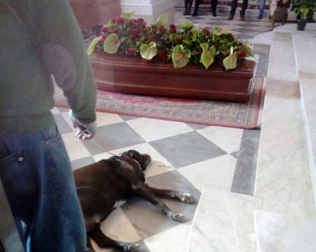 nerone ganzirri messina cane (1)