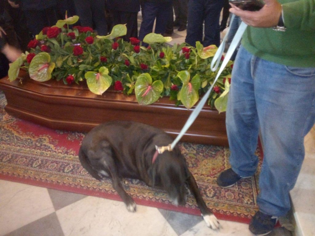 nerone ganzirri messina cane (1)
