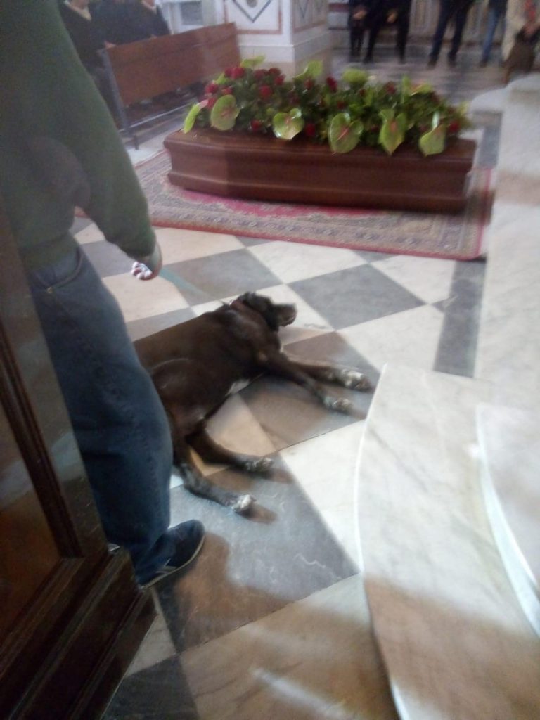nerone ganzirri messina cane (1)