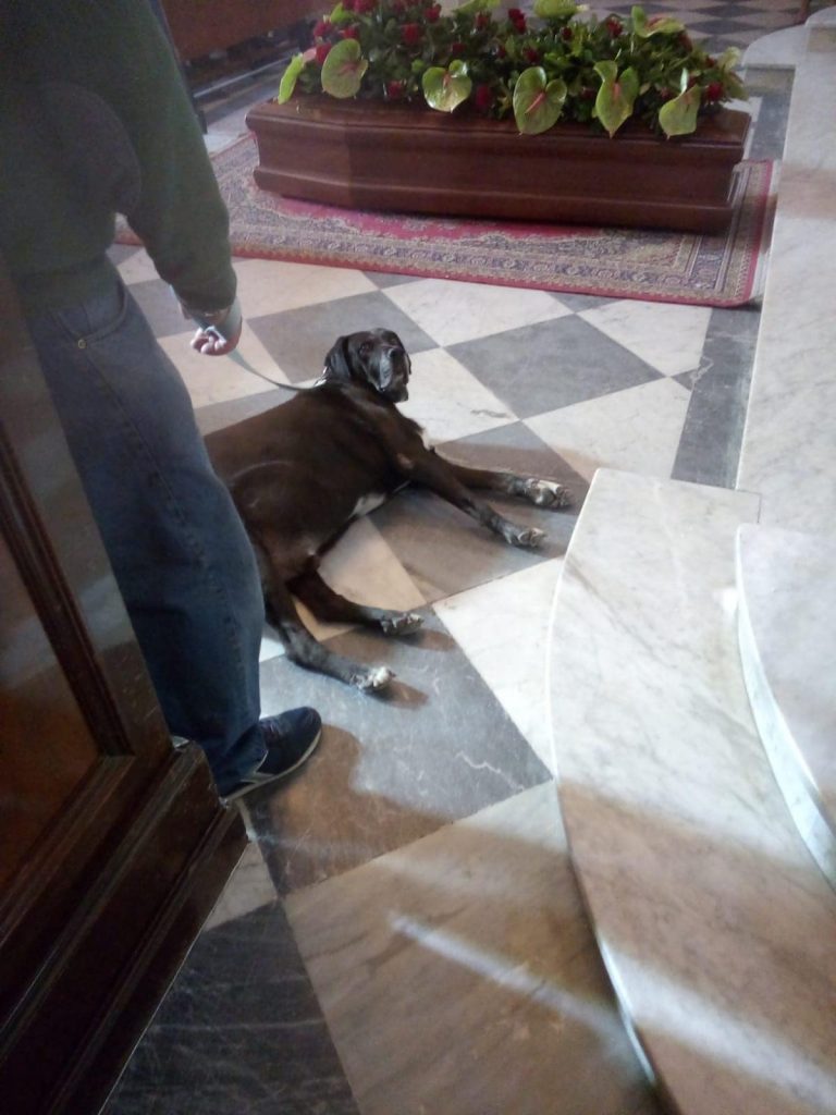 nerone ganzirri messina cane (1)