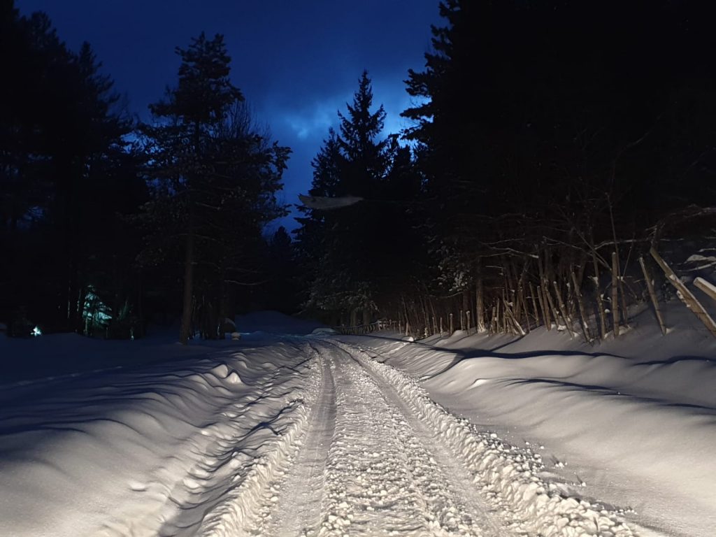 neve san giovanni in fiore