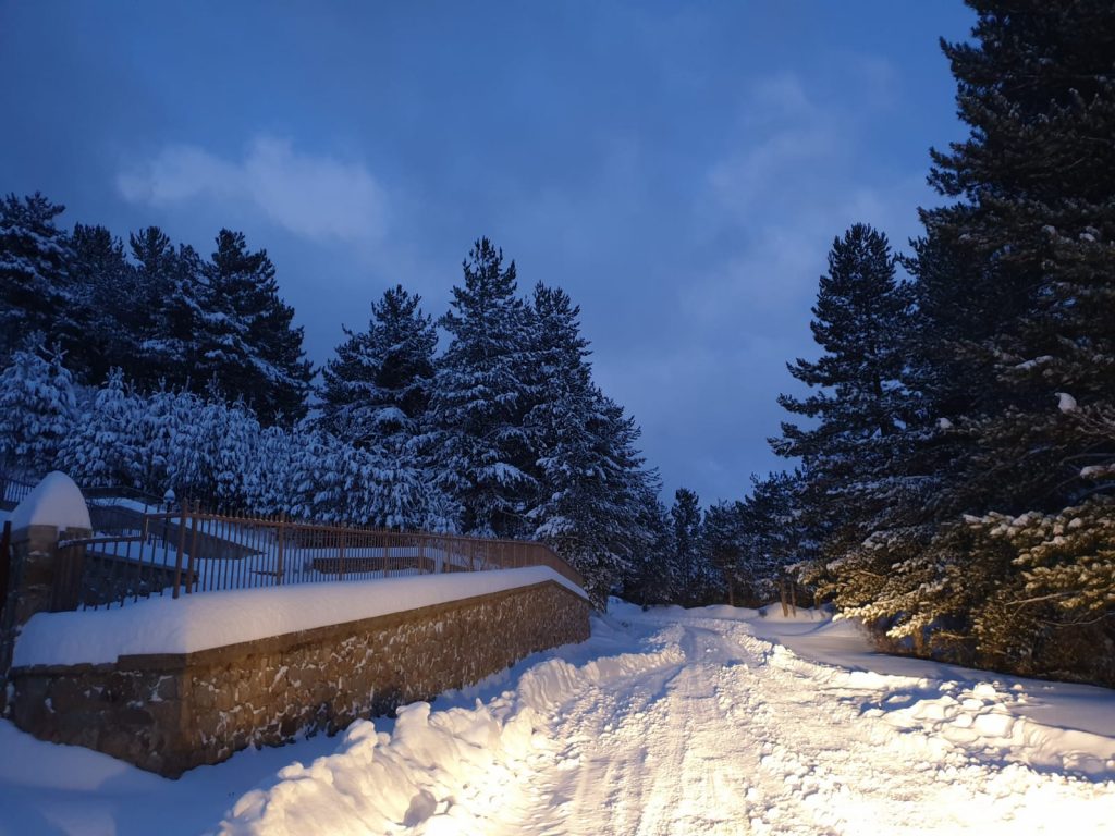 neve san giovanni in fiore