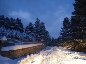 neve san giovanni in fiore