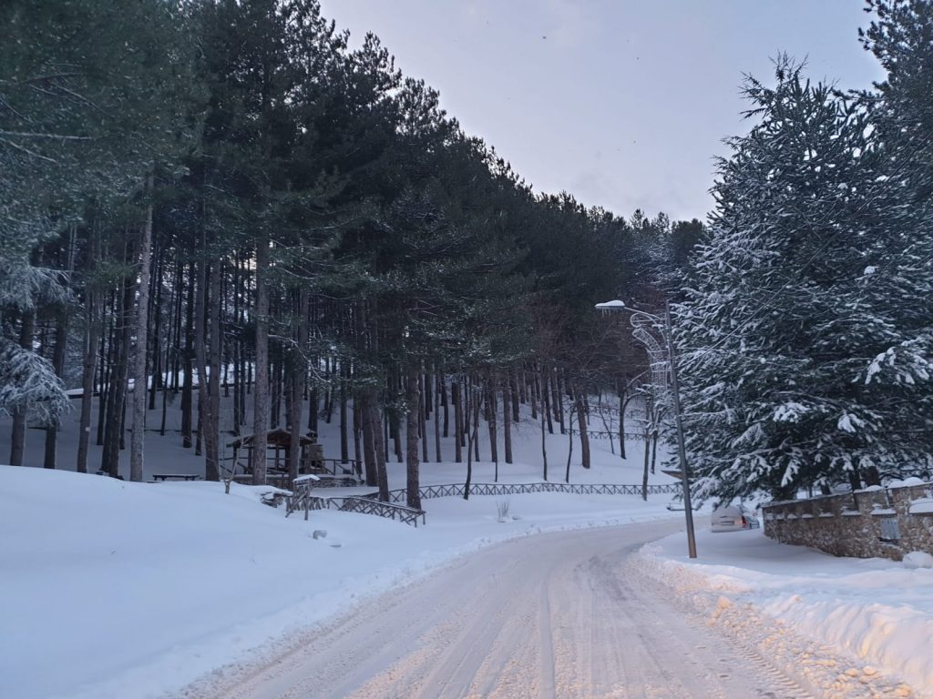 neve san giovanni in fiore