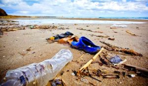 rifiuti spiaggia