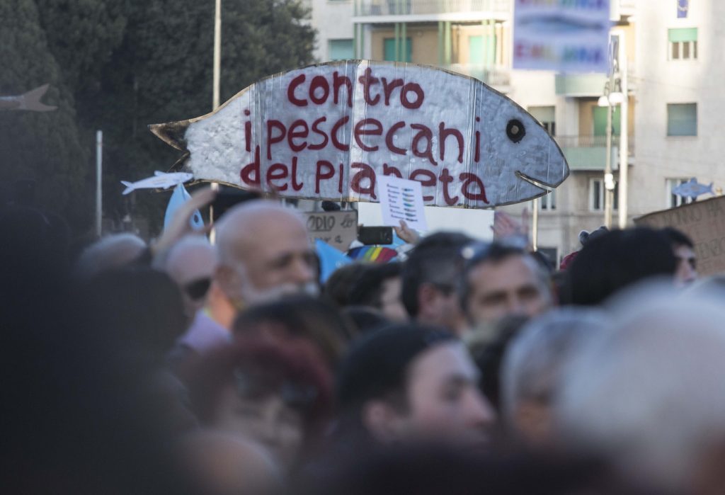 sardine roma