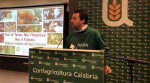 salvini elezioni regionali calabria