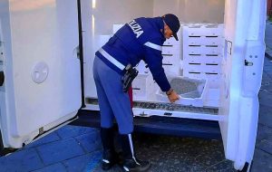 novellame sequestrato messina
