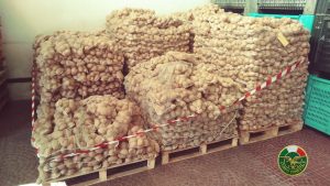 patate sequestrate (
