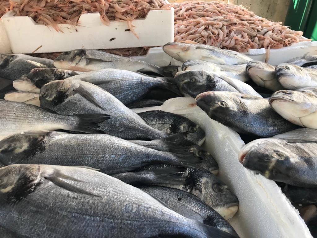 pesce avariato messina