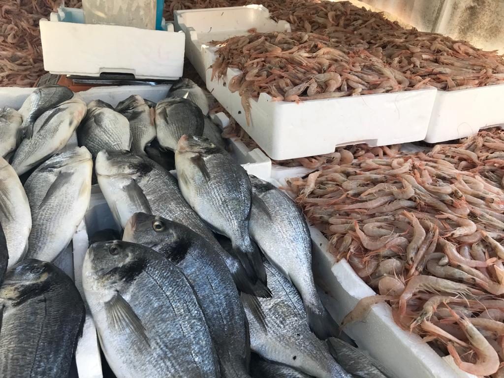 pesce avariato messina