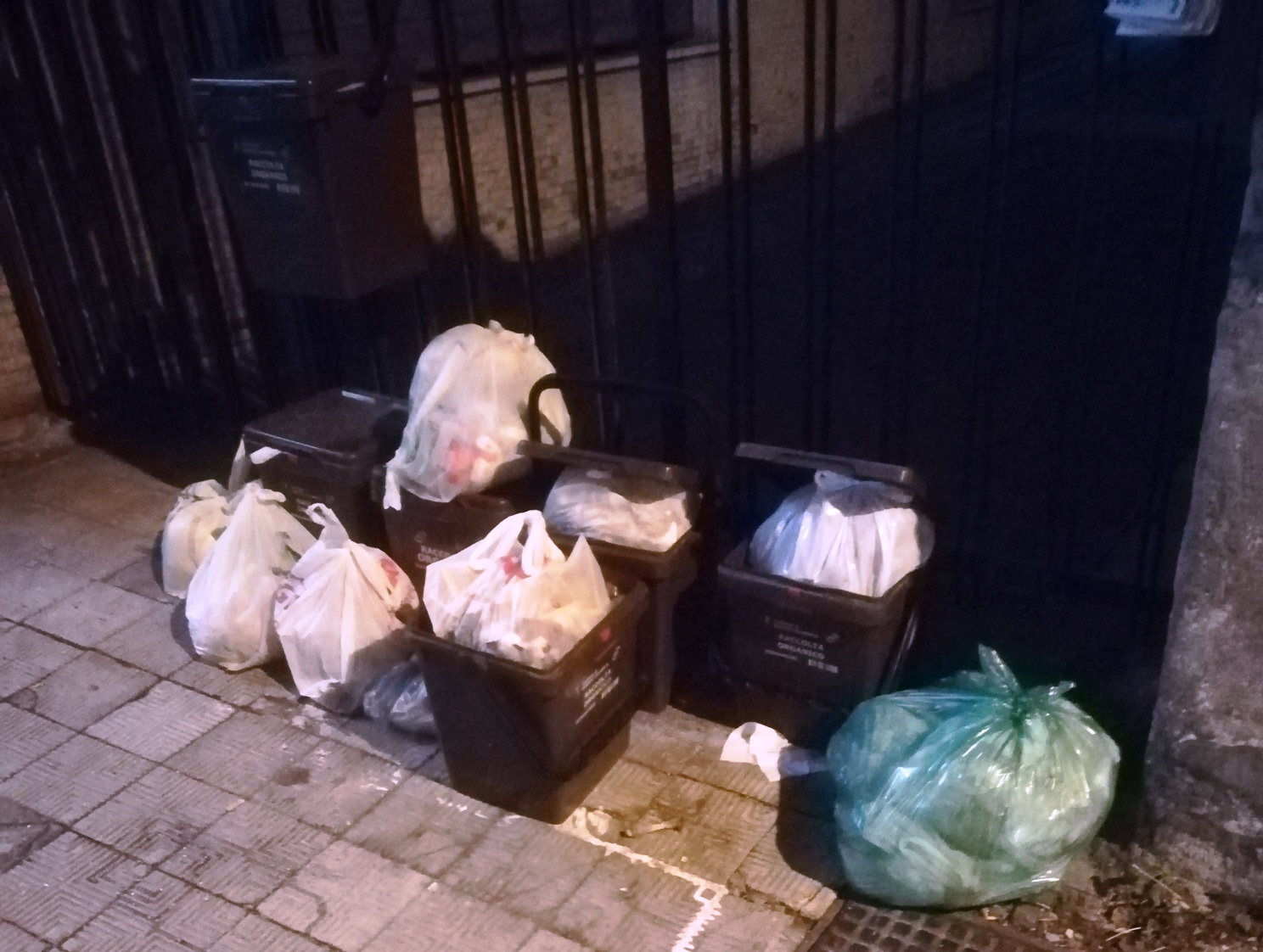 rifiuti reggio calabria