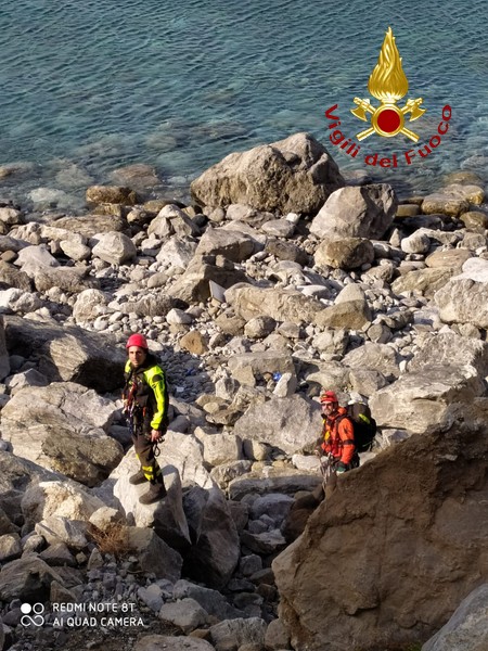 salvataggio cani vigili fuoco