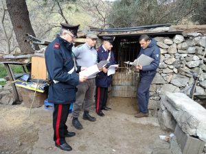 MANDANICI SEQUESTRO AZIENDA ZOOTECNICA