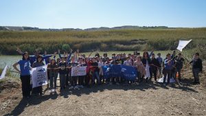 barriera antiplastica fiume platani
