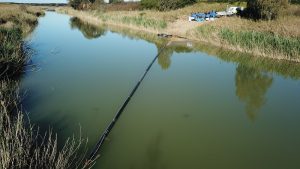 barriera antiplastica fiume platani