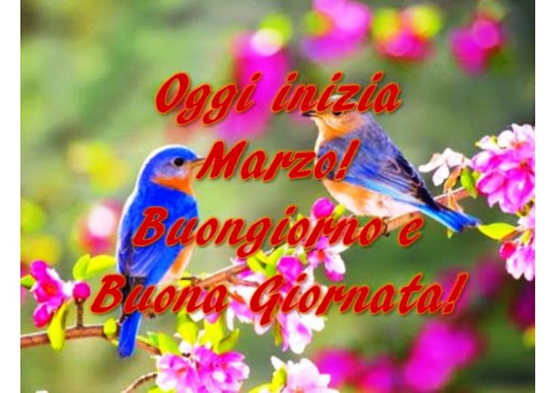 buon 1 marzo