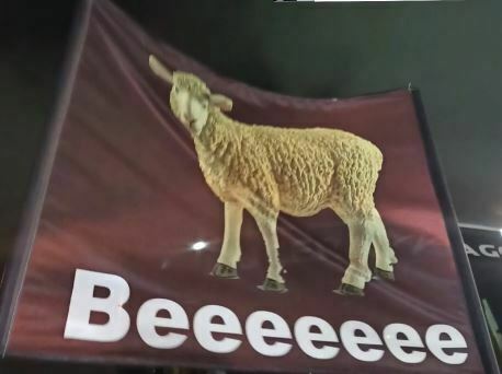 catanzaro reggina gallery