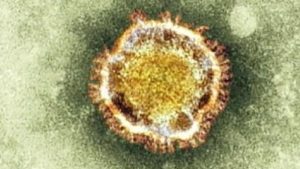 coronavirus