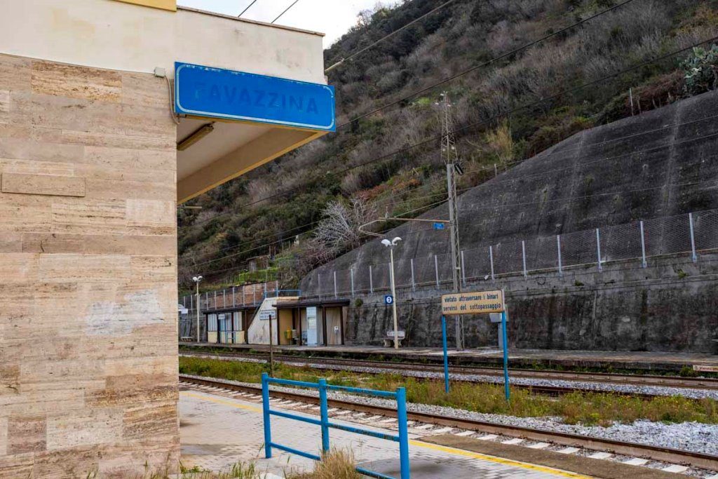 favazzina 20 febbraio 2020 (28)