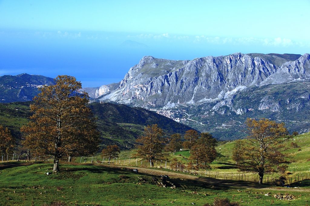 parco dei nebrodi