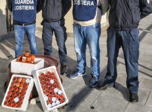 ricci sequestrati messina