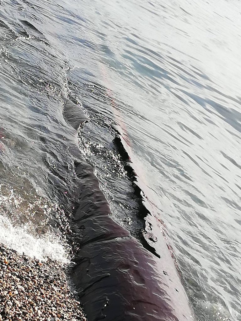 tubo spiaggia contesse