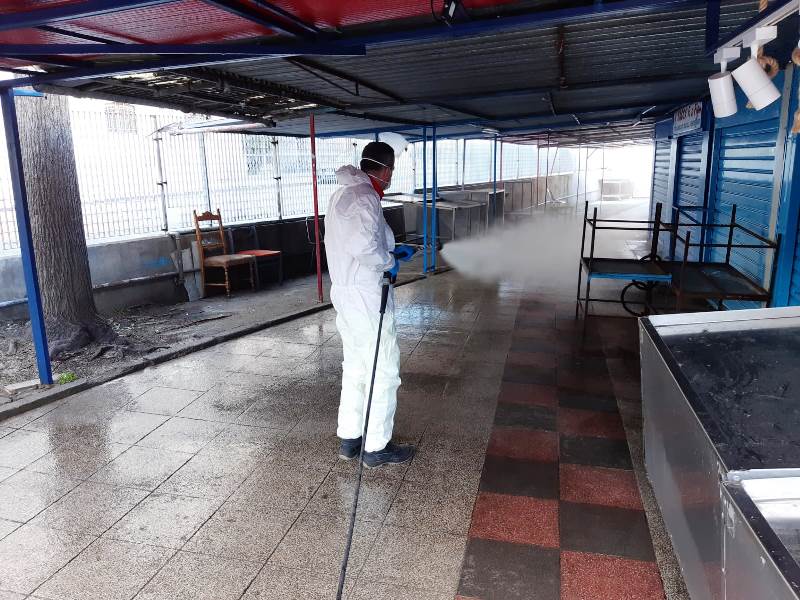 disinfestazione messina