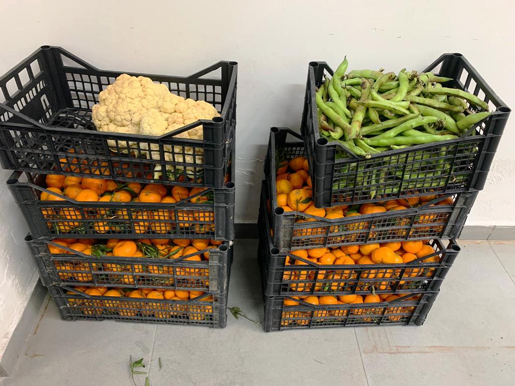 frutta e verdura sequestrata (4)