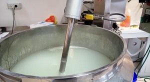 gel igienizzante