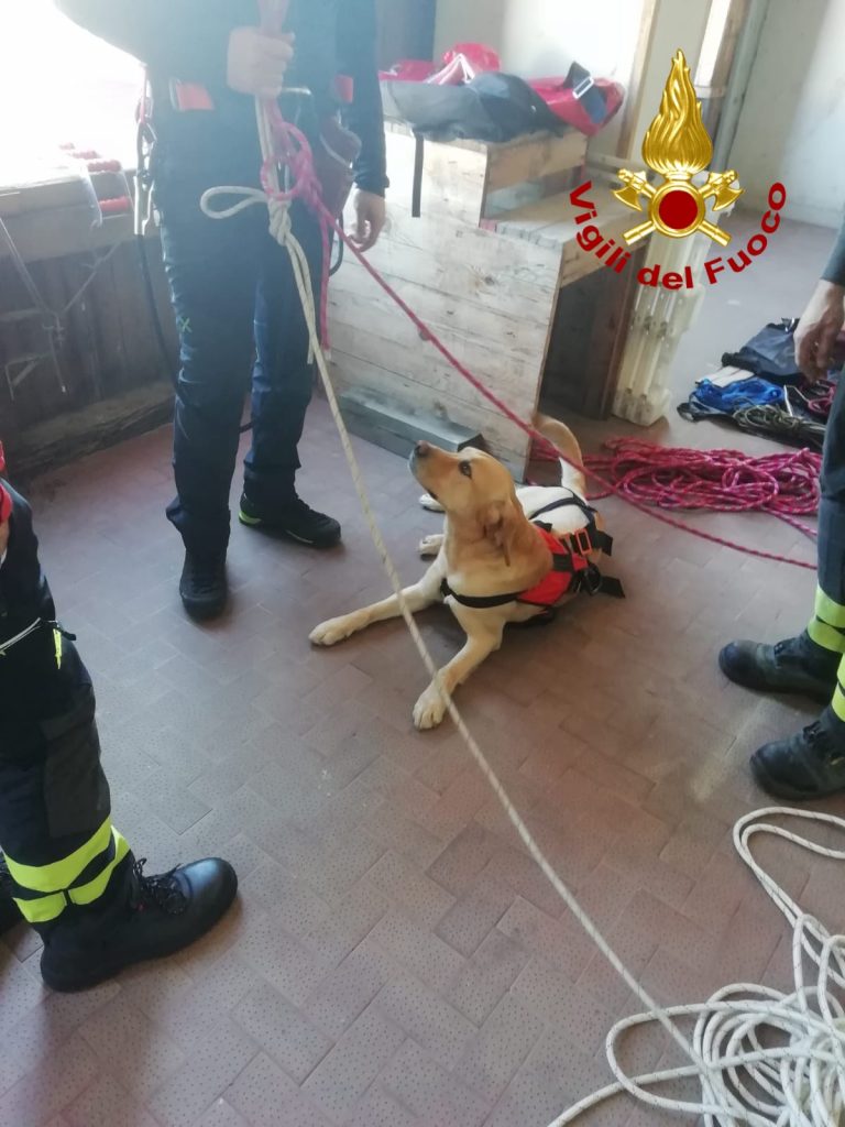 grisù messina