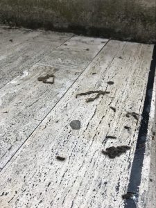 processionaria ospedale riuniti reggio calabria