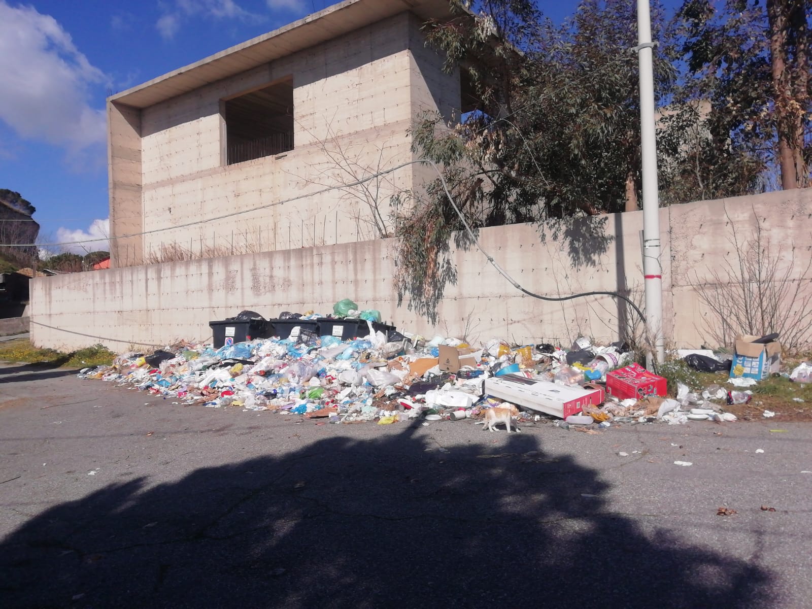 rifiuti reggio calabria