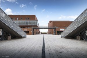Università della Calabria