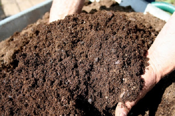 compost biologico