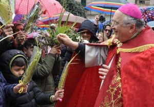morosini palme