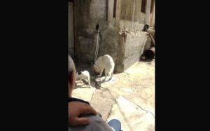 Cateno De Luca con il padre