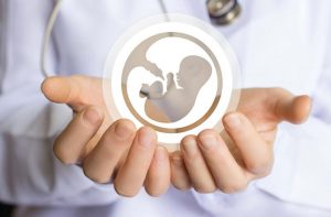 Procreazione Medicalmente Assistita