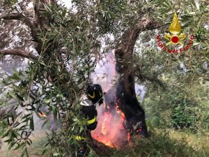 incendio messina