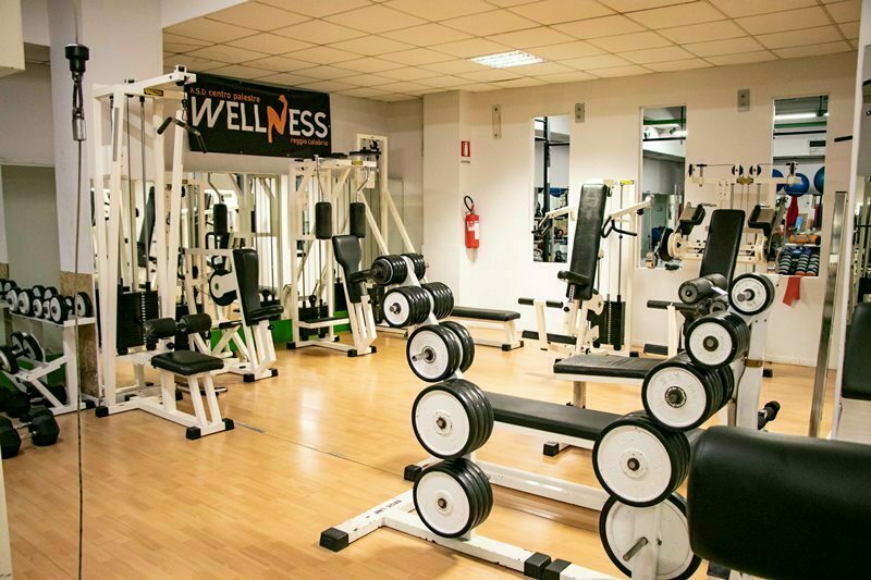 palestra wellness