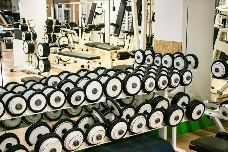palestra wellness