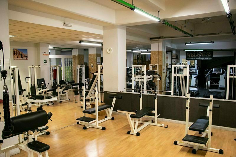 palestra wellness