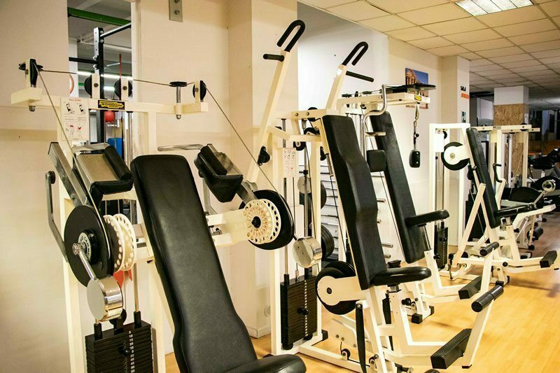 palestra wellness