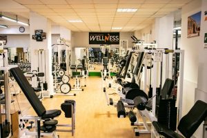 palestra wellness
