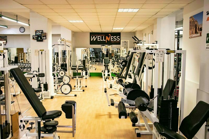 palestra wellness