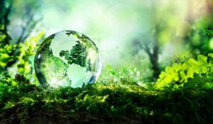 Giornata mondiale ambiente